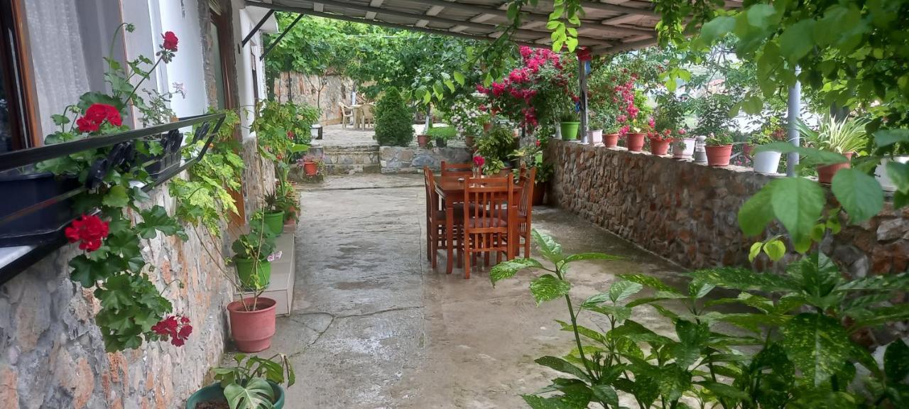 Roleo Guest House Lini Dış mekan fotoğraf