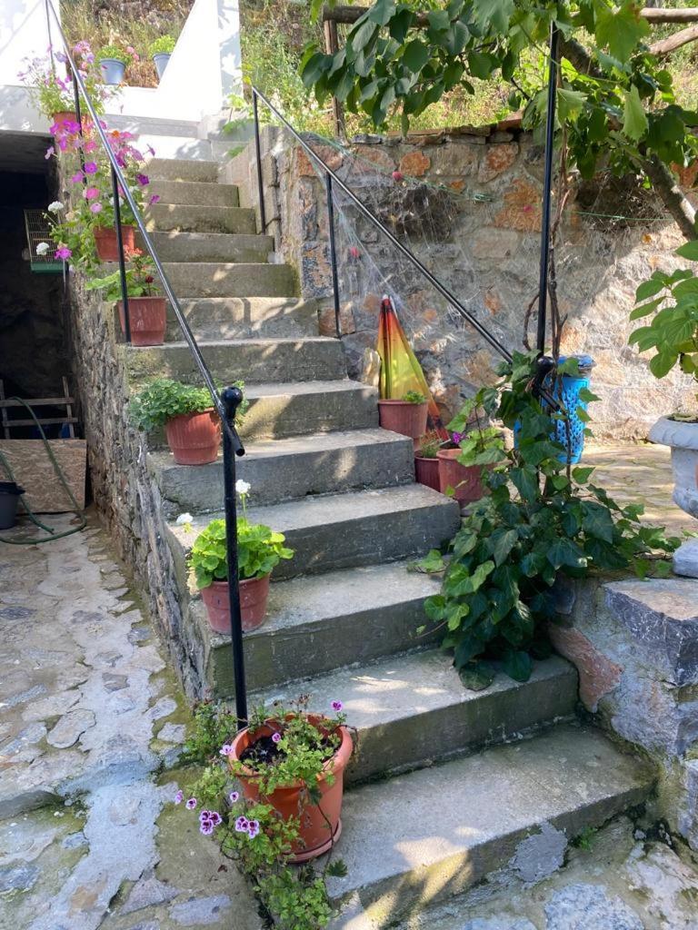 Roleo Guest House Lini Dış mekan fotoğraf