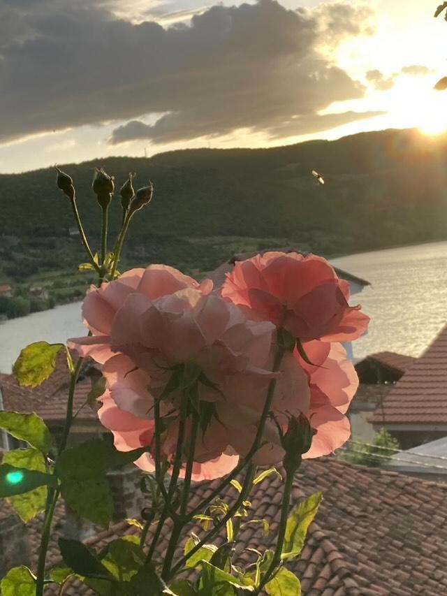 Roleo Guest House Lini Dış mekan fotoğraf