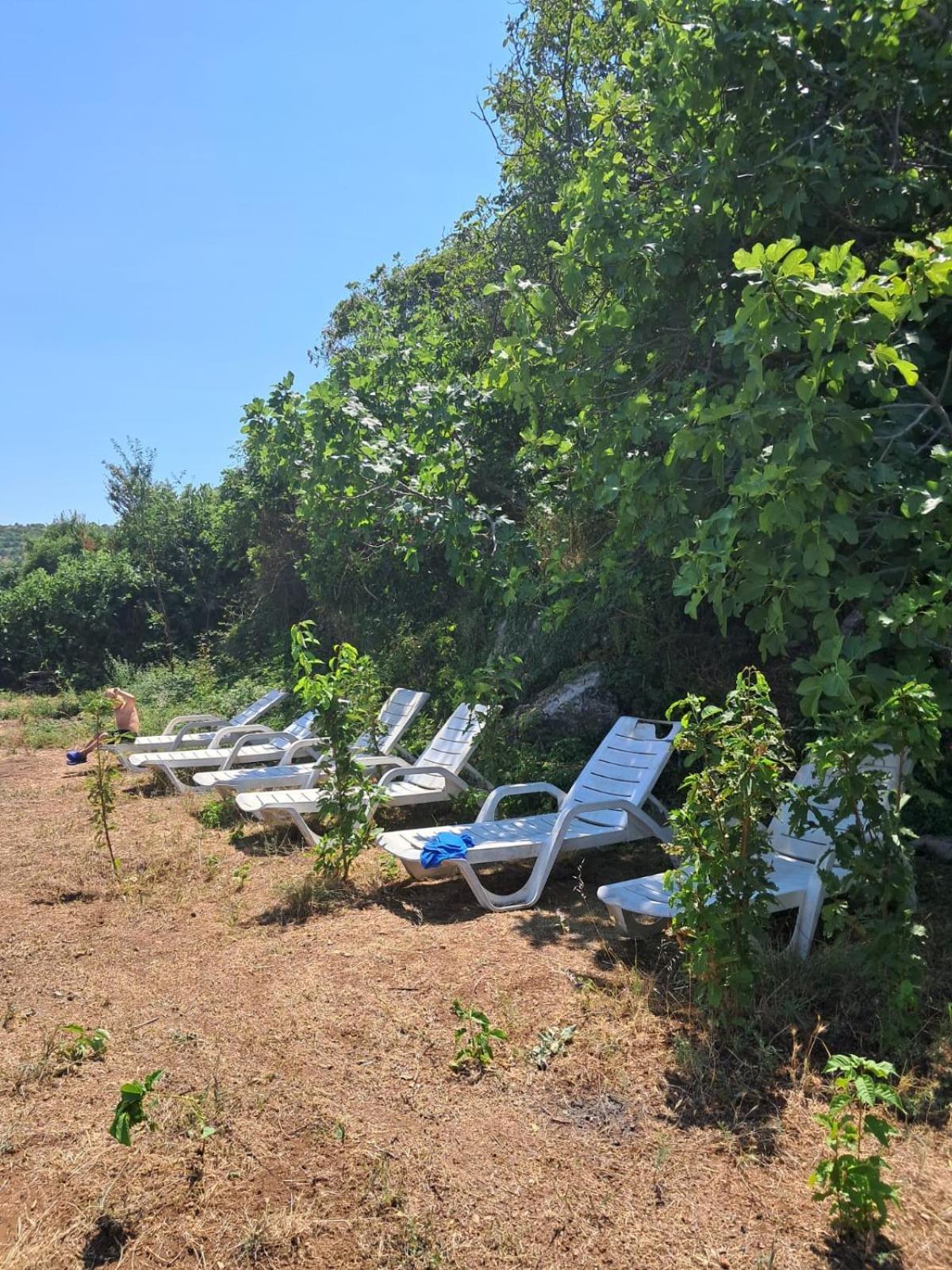 Roleo Guest House Lini Dış mekan fotoğraf
