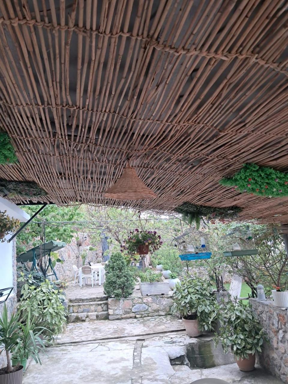Roleo Guest House Lini Dış mekan fotoğraf
